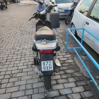 Free 1996 motorino