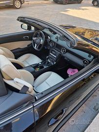 meravigliosa slk 