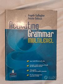 libro università activating grammar multilevel 
