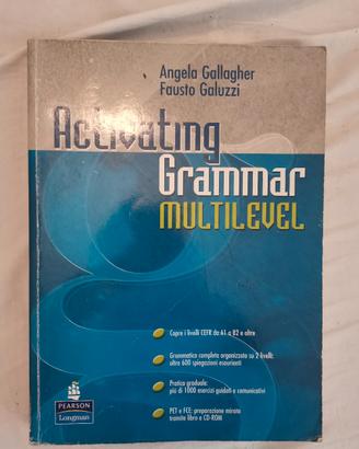 libro università activating grammar multilevel 