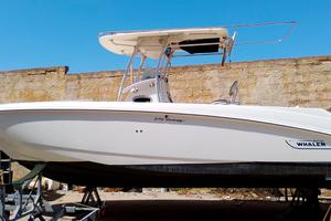 Boston Whaler 270 Outrage