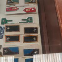 mostrine esercito italiano nuove