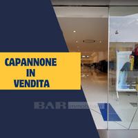 Rif. 26/I101 - Capannone industriale