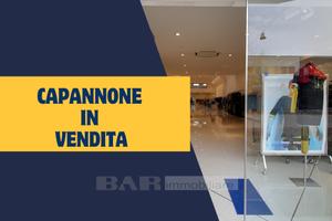 Rif. 26/I101 - Capannone industriale