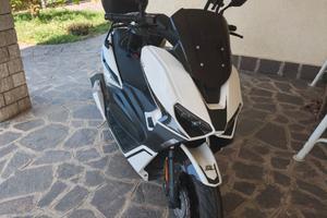 brera 300
