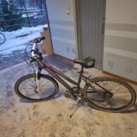 Bicicletta da donna 