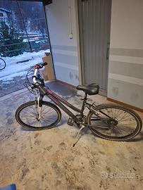 Bicicletta da donna 