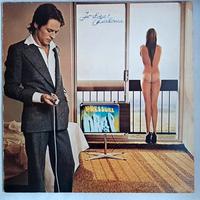 dischi in vinile 33 giri Robert Palmer