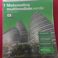 matematica multimediale verde 1