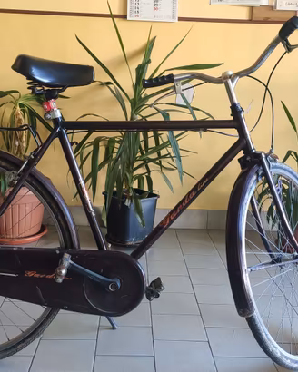 Bici Olandese