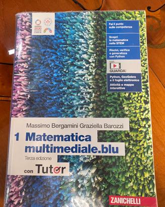 matematica multimediale