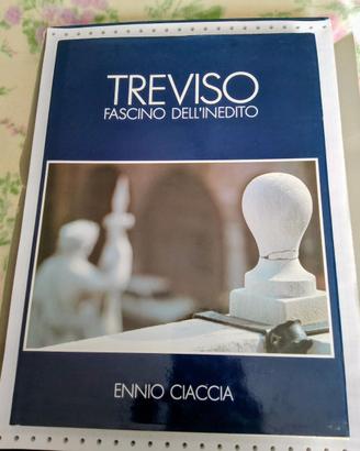 Treviso - Fascino dell'Inedito - Libro Fotografico