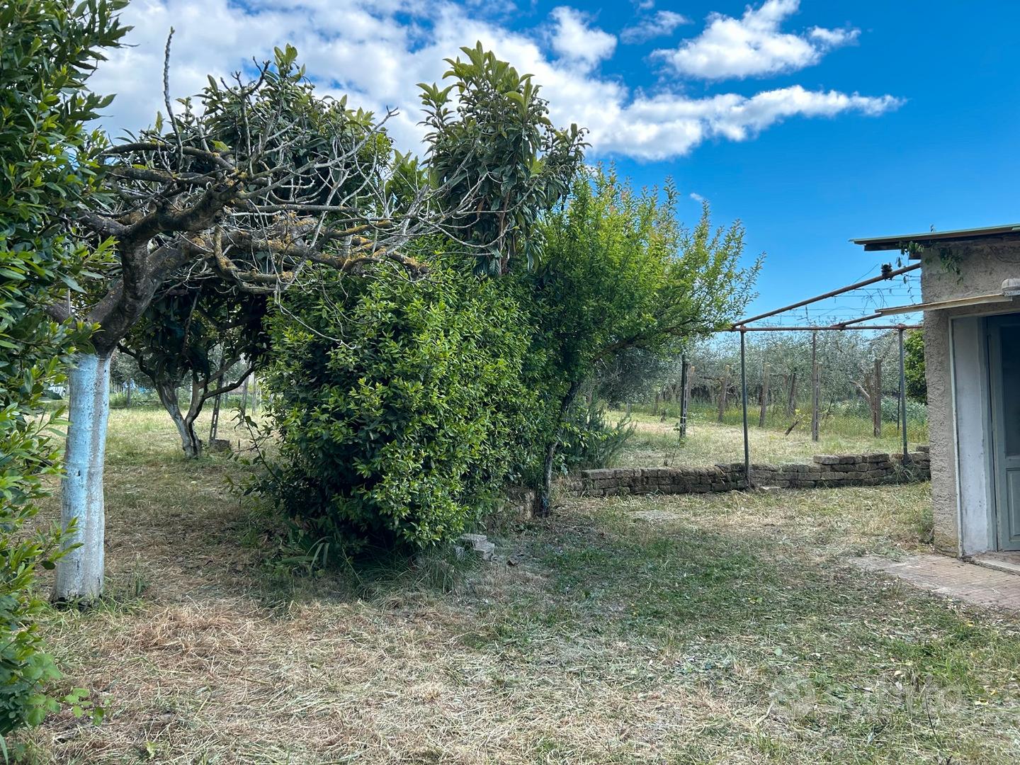 Vendita terreno zona pisana\regione lazio - Ansicht 2