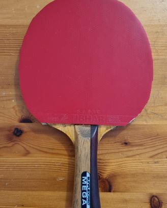 racchetta ping pong tennistavolo professionale