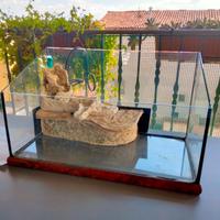 tartarughiera per tartarughe d acqua 