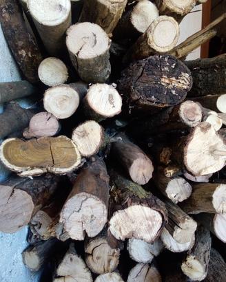Legna mista