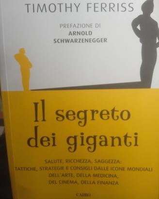 Il segreto dei giganti 
