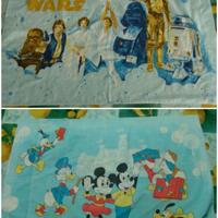 Federe per Cuscini di Star Wars e Walt Disney