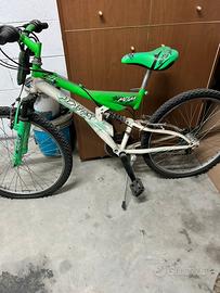Bicicletta