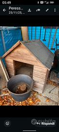 cuccia cane taglia grossa