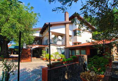 6 LOCALI A PISCIOTTA