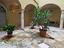Immagine 23