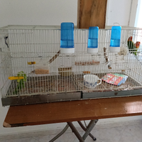 Gabbie per pappagalli e nidi