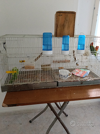 Gabbie per pappagalli e nidi