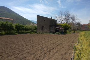 Abitazione con terreno