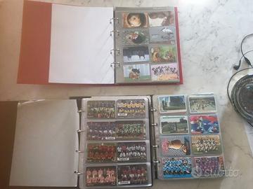 Lotto 3 album  con 556 schede telefoniche
