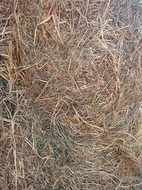 Paglia e fieno