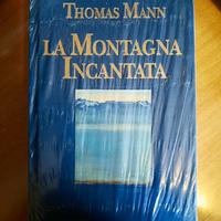 La montagna incantata - Thomas Mann