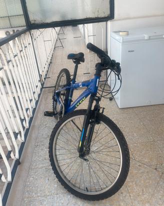 Bici uomo