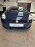 fiat-punto-1-2-benzina-euro-5-neo-patentati