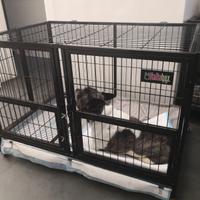 Cuccia Gabbia Box Kennel Animali Cani Gatti Usata