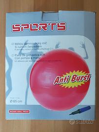 Palla da Ginnastica Anti Brust 65 cm con pompa NEW
