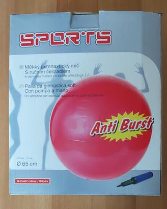 Palla da Ginnastica Anti Brust 65 cm con pompa NEW