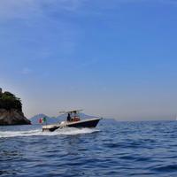 Fisherman Harpoon 25.5