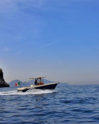 Fisherman Harpoon 25.5