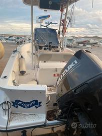 barca con motore edegwater