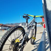 Mtb banshee