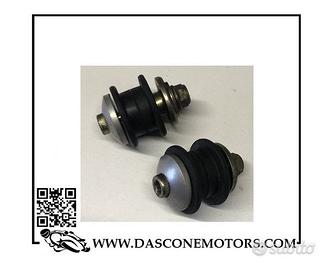 Coppia viti marmitta monster