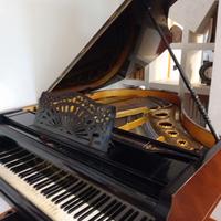 Pianoforte a mezza coda