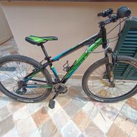 mountain bike da ragazzo