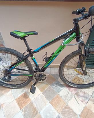 mountain bike da ragazzo