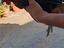 Immagine 1