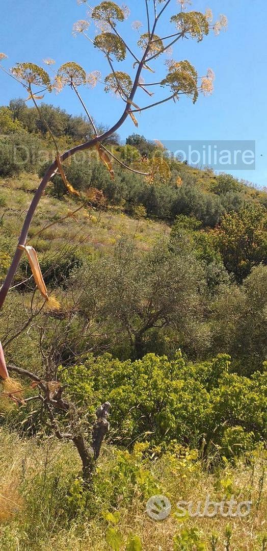 Terreno agricolo a Linguaglossa - Altro