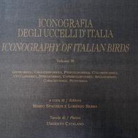 Uccelli d’Italia