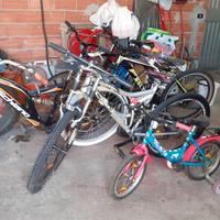 Biciclette di vari  tipi
