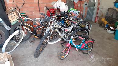 Biciclette di vari  tipi